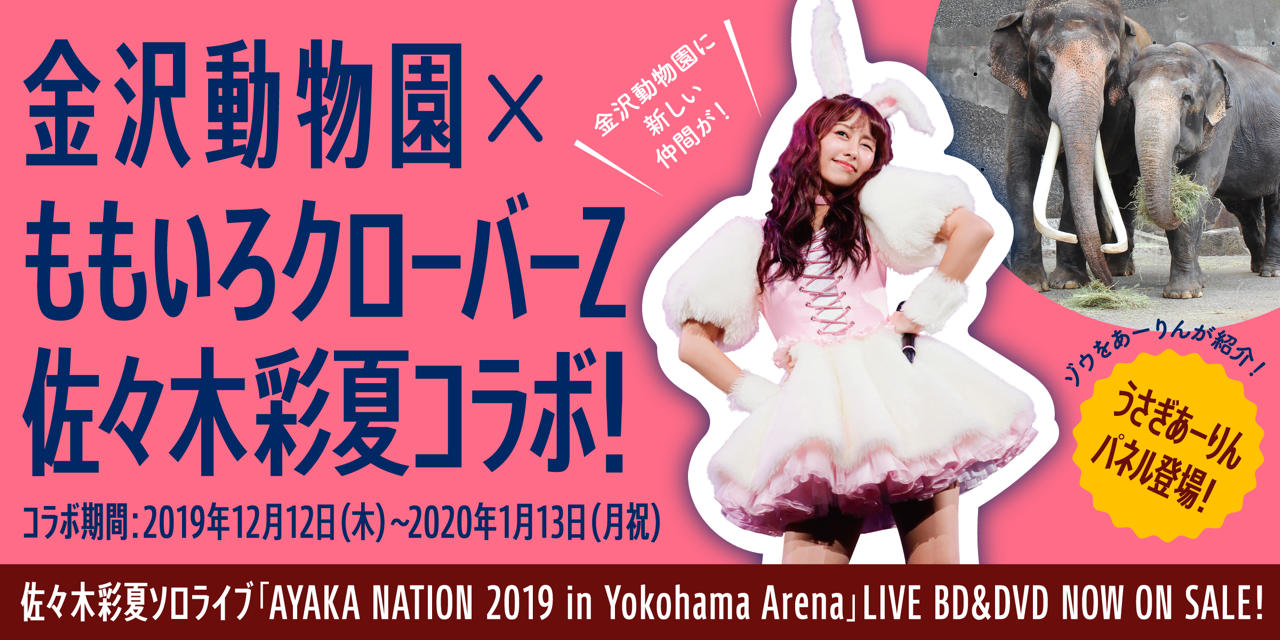 佐々木彩夏 × 横浜市金沢動物園 コラボ決定！