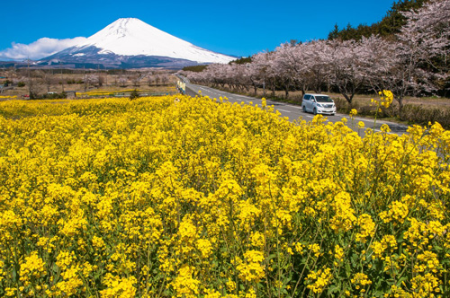 静岡県裾野市