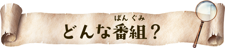 どんな番組?