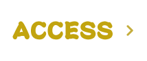 ACCESS